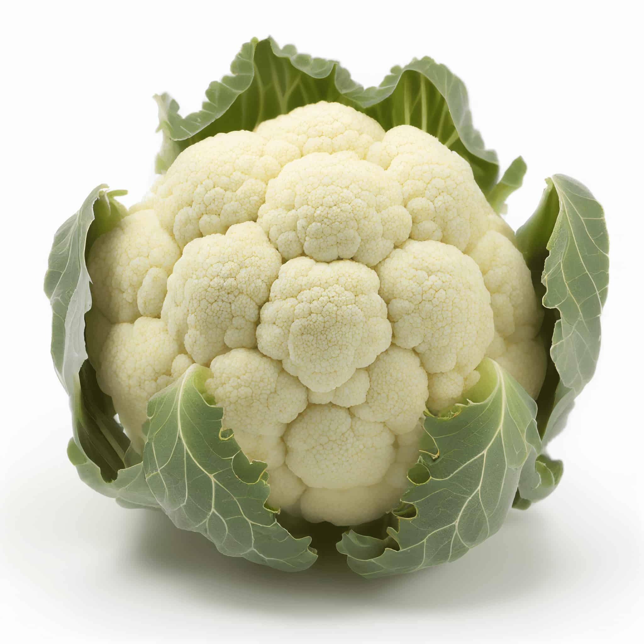 snow-ball-cauliflower