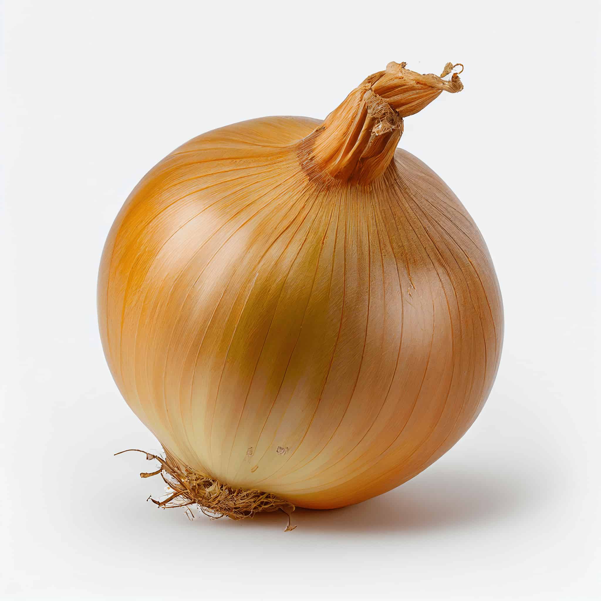 yellow-spanish-onion-2