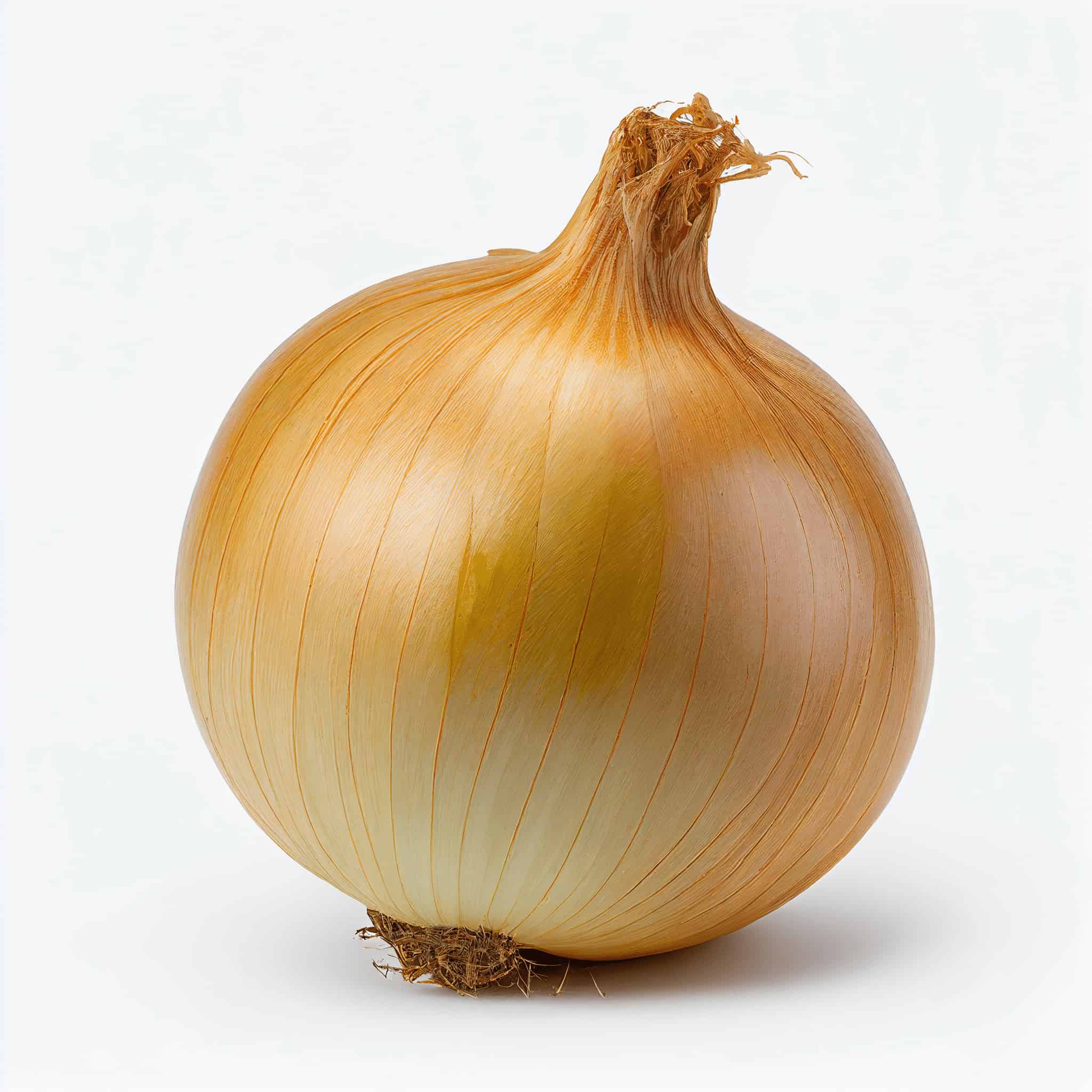 yellow-spanish-onion