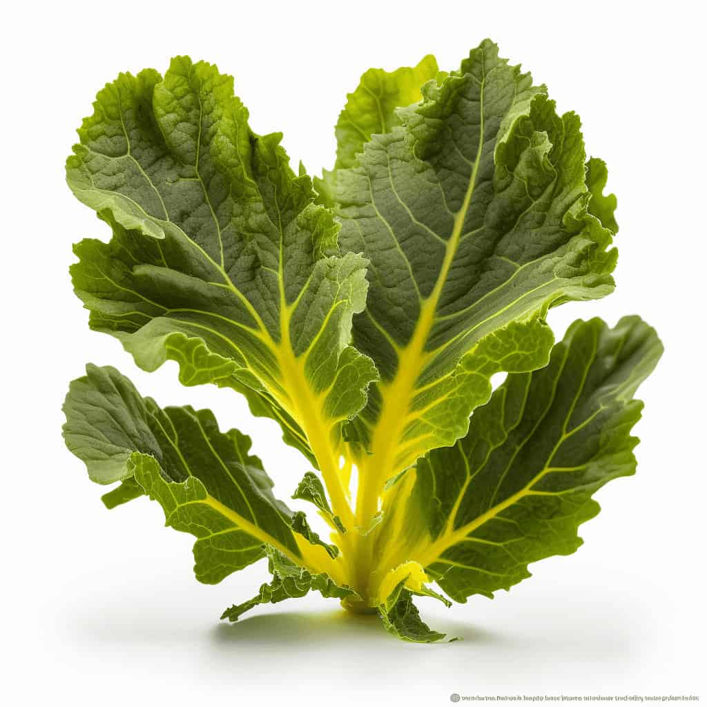 mustard-greens-3