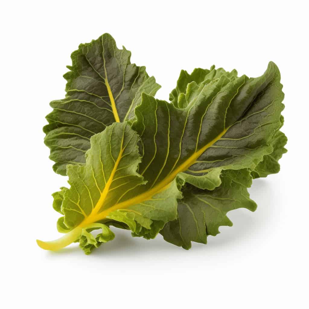 mustard-greens mustard-greens