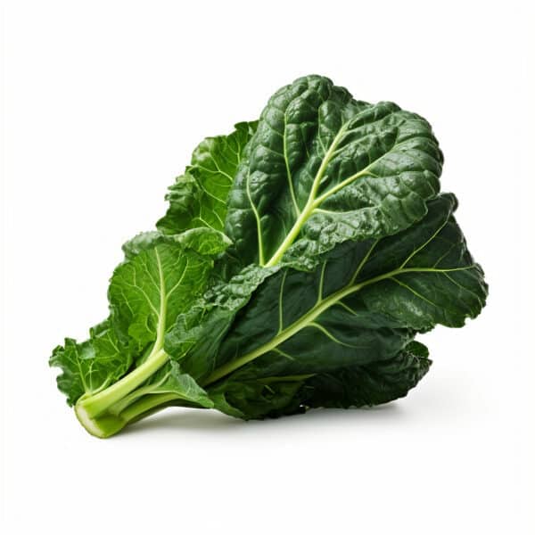 Healthy Collard Greens – Fresh and Vibrant Addition! Fresh Collard Greens - Vibrant and Healthy Addition to Your Meals!