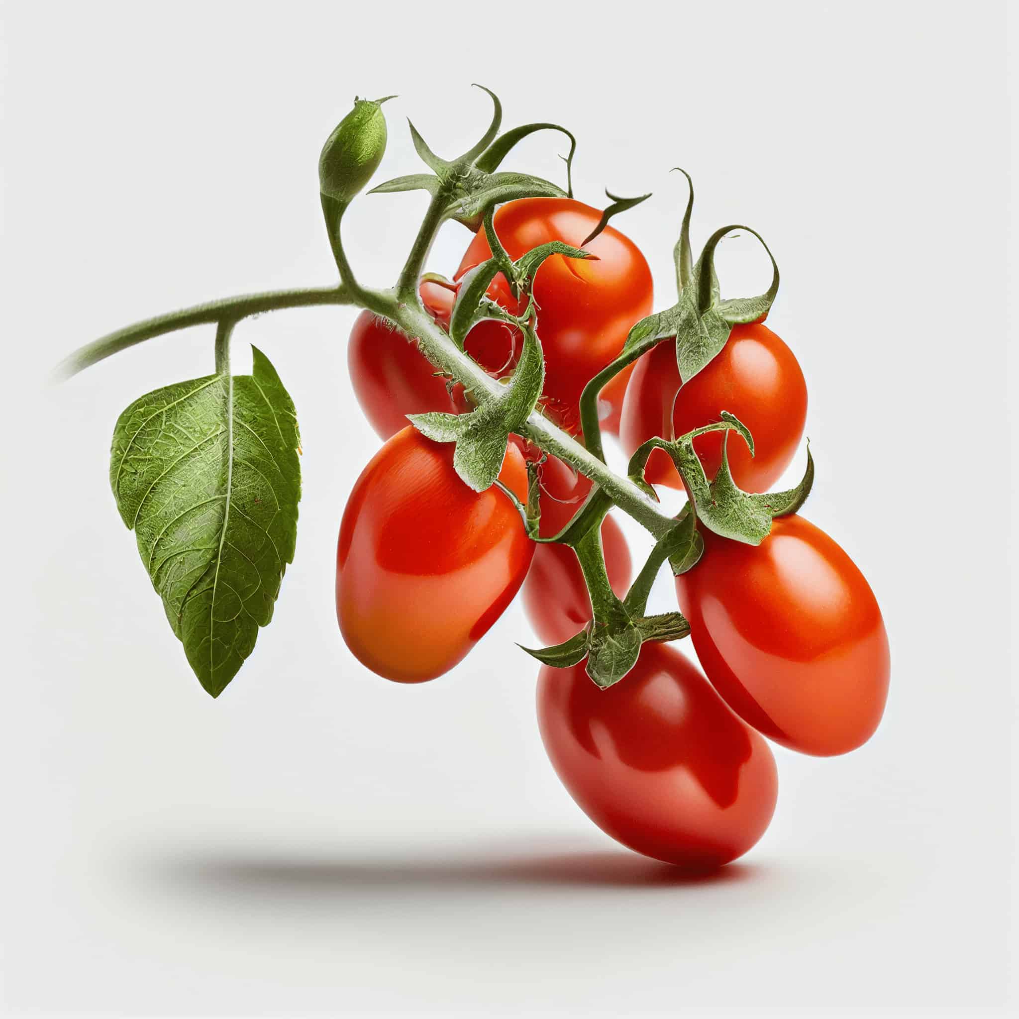 grape-tomato-2