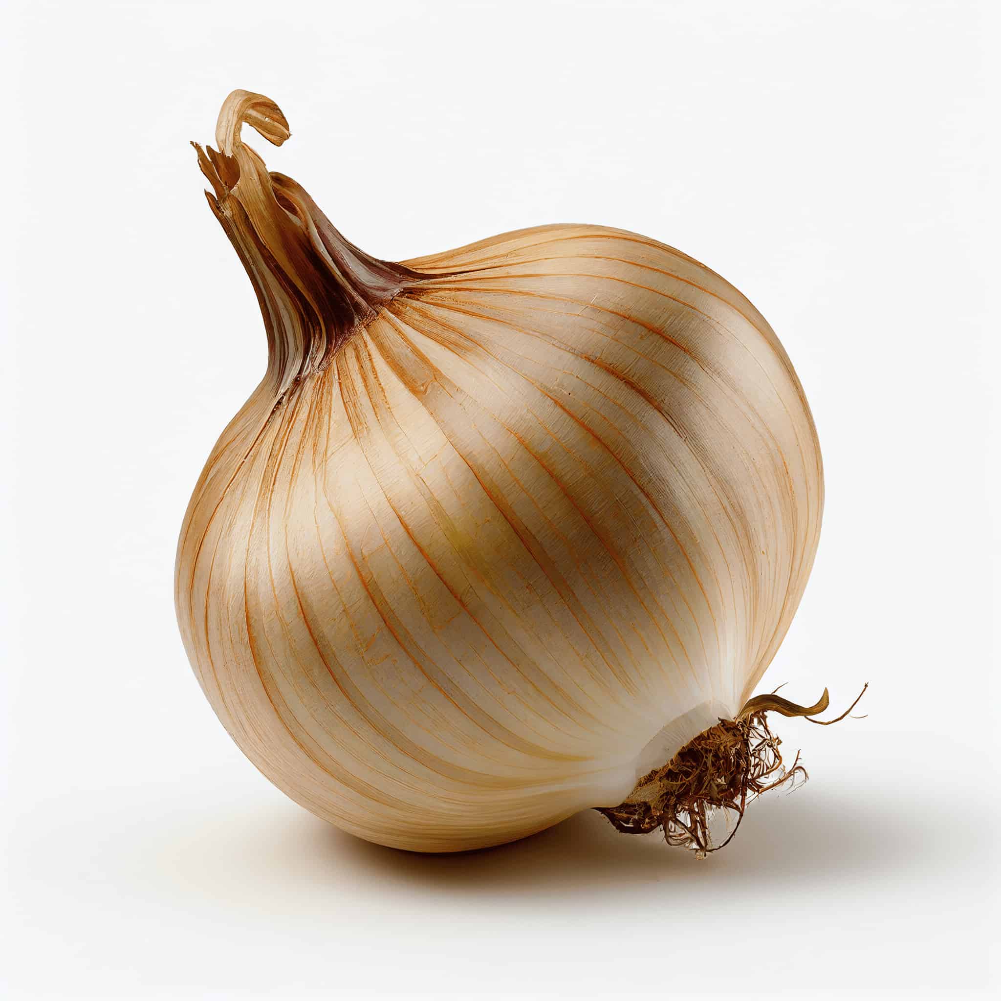 white-spanish-onion-2